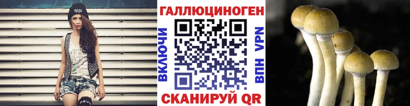 блэк спрут маркетплейс  Октябрьск  Псилоцибиновые грибы мицелий  наркошоп 